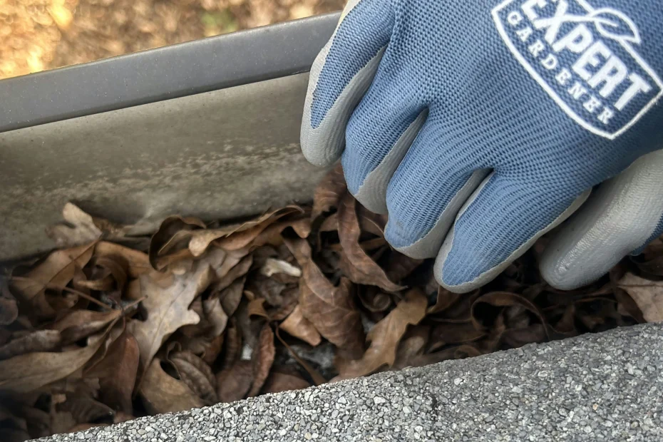 Gutter Cleaning Redington Beach FL