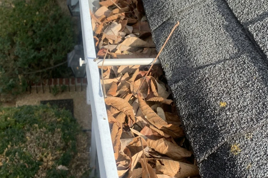 Gutter Cleaning Redington Beach FL